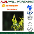Muscle-building Epigallocatechin Gallate /EGCG 98% /organic green tea extract